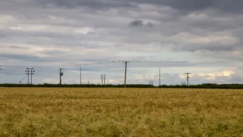 Birds on a wire over a wheat field.jpg